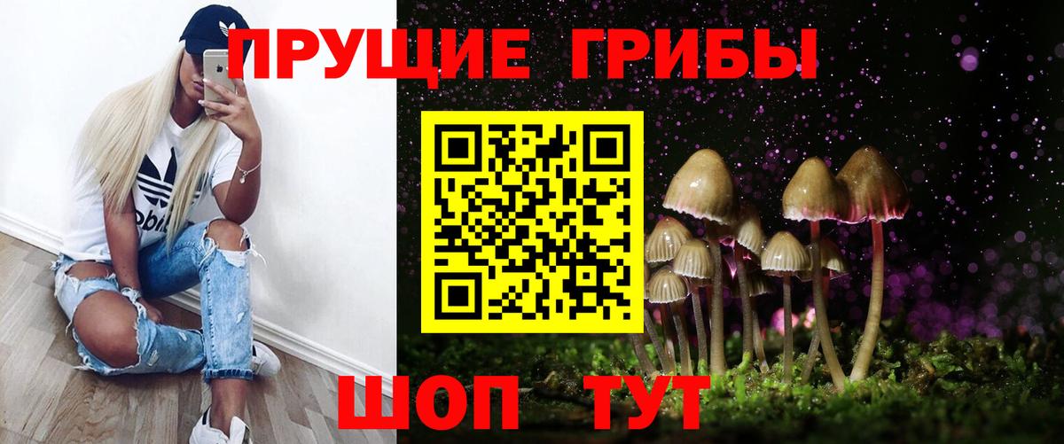 Галлюциногенные грибы MAGIC MUSHROOMS  Вход с VPN  Похвистнево 